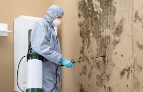 Best Dehumidification Services  in Sarand, AL